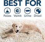 Simple Solution Stain & Odor Eliminator for Pets, Carpet Deodorizer, Enzyme Pet Odor Eliminator for Home, Stain Remover for Cat & Dog Pee, Urine Destroyer, Carpet Cleaner Spray, Spring Breeze, 32 oz