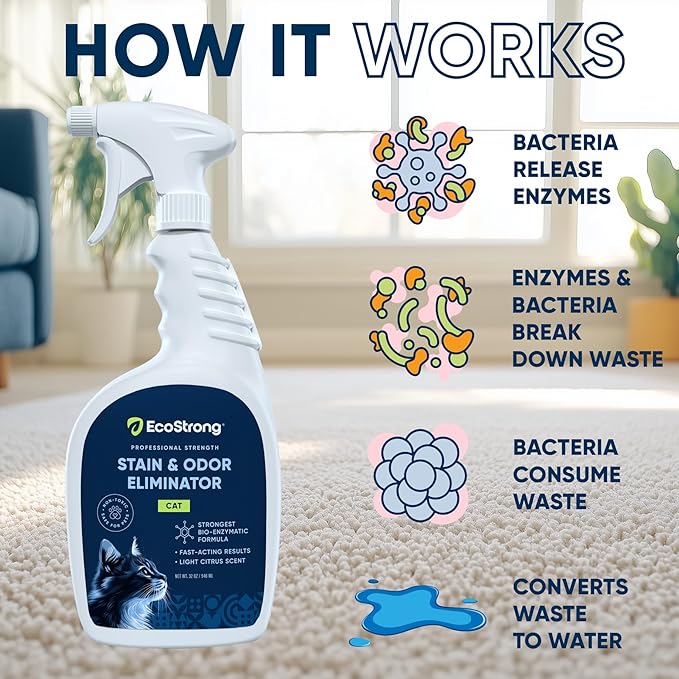 Eco Strong Cat Stain And Odor Remover | Enzyme Urine Odor Neutralizer - Stain Remover for Carpet, Litter Boxes, Bedding, and Laundry [Citrus Scent, 32 oz. Spray]