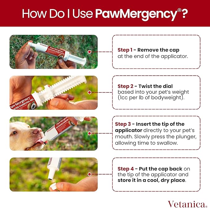 PawMergency – Activated Charcoal First Aid Kit Emergency Rescue 3 Pack for Dogs, Cats, Puppy & Pet Poison Kit, Camping Survival Remedy Essential, Oral Anti Diarrhea Digestive Absorb Toxins