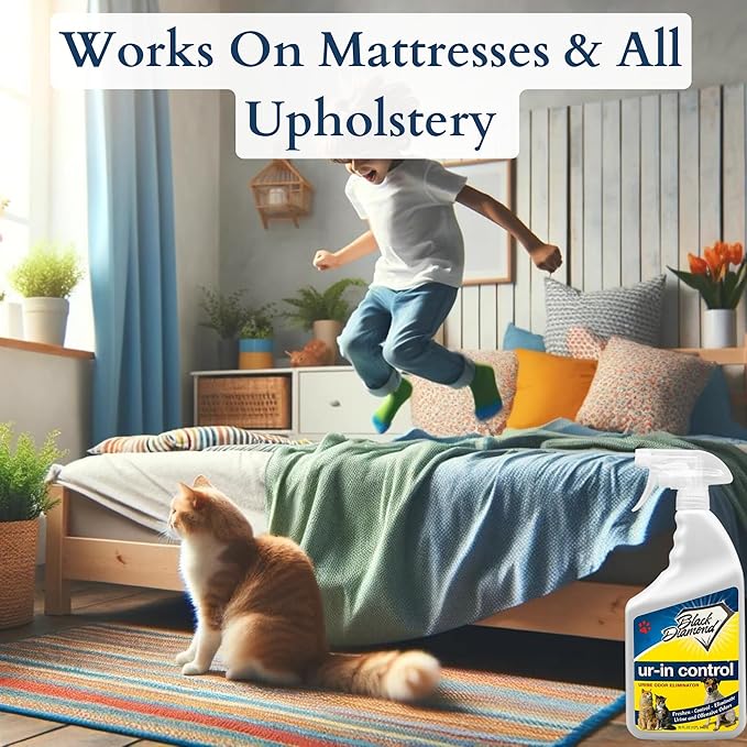 Black Diamond Stoneworks Eliminates Urine Odors – Controls Cat, Dog, Pet & Human Smells from Carpet, Furniture, Mattresses, Grout and Pet Bedding & Concrete. Biodegradable Enzymes (1-Gallon)