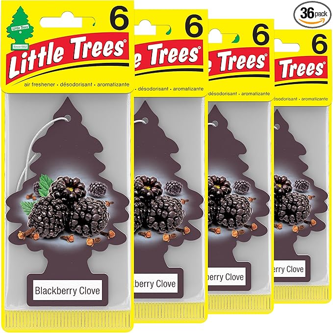LITTLE TREES Car Air Freshener. Hanging Tree Provides Long Lasting Scent for Auto or Home. Blackberry Clove, 24 Air Fresheners (Pack of 6)