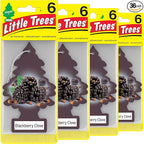 LITTLE TREES Car Air Freshener. Hanging Tree Provides Long Lasting Scent for Auto or Home. Blackberry Clove, 24 Air Fresheners (Pack of 6)