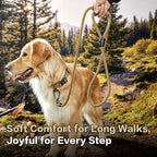 PawsPassion Rope Dog Leash 4 FT, 2-in-1 Heavy Duty Dog Leash with Seat Belt Buckle, Tangle Free 360ｰ Swivel Aviation Aluminum Carabiner, All Metal Hardware, Alloy O-Ring (Sunrise)