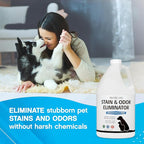 NonScents Stain & Odor Eliminator Spray for Strong Odor - 32 oz - Pet Odor Eliminator for Home - Carpet Stain Remover for Cats and Dog Pee - Cat Urine Destroyer - Carpet Cleaner Spray