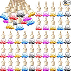 BBTO 50 Pcs Hanging Car Air Freshener Diffuser Bottles Empty Glass Perfume Bottle Pendant for Essential Oil (Colorful, Rose)