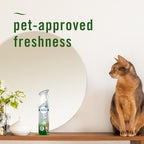 Febreze Air Mist Air Freshener Spray, Odor-Fighting Room Spray, Air Fresheners for Home and Bathroom and Kitchen, Aerosol Can, HD Pet Odor Fighter Scent, 8.8oz (Pack of 3)
