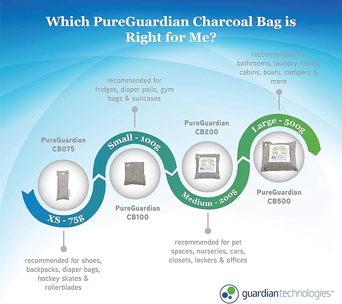PureGuardian CB200 Bamboo Charcoal Air Purifying Bag, Eco-Friendly, Naturally Absorbs Odors, Excess Moisture and Pollutants, 200g, Gray