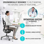 Lumbar Support - Breathable Mesh Office & Car Chair Back Support with Double Adjustable Straps for All-Day Comfort