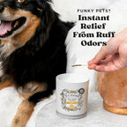 Pet-Pourri Canine Coconut Dog Deodorizer Candle – Puppy & Dog Safe – Plant Based Ingredients & Wax – Vet Approved – Aromatherapy & Air Freshener for Pet Odor – Scented with Bamboo, Jasmine & Pear