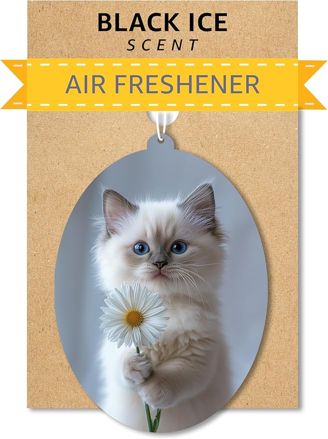 Ragdoll Kitten - Cat Car Air Freshener - Cute Hanging Daisy Cat Decor Black Ice Scent, Infusible with Your Own Scent, Pet Safe, Non-Toxic, Freshener for Car, Closet, Office Size - 3x4"