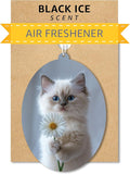Ragdoll Kitten - Cat Car Air Freshener - Cute Hanging Daisy Cat Decor Black Ice Scent, Infusible with Your Own Scent, Pet Safe, Non-Toxic, Freshener for Car, Closet, Office Size - 3x4"