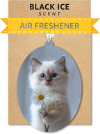 Ragdoll Kitten - Cat Car Air Freshener - Cute Hanging Daisy Cat Decor Black Ice Scent, Infusible with Your Own Scent, Pet Safe, Non-Toxic, Freshener for Car, Closet, Office Size - 3x4"