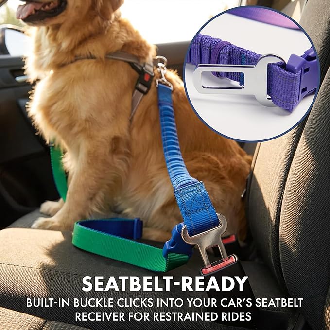 Spark Paws Handsfree Dog Leash – Shock Absorbing Waist Bungee Lead for Running, Car Seatbelt Clip & Poop Bag Set, Heavy Duty Tactical Lead for Medium, Large & X-Large Breeds - 90s Retro