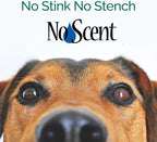 No Scent Crate Kennel & Floor Cleaner for Dog Run, Cat Carrier, Hard Surface Pet Odor & Stain Management (2 Fl Oz / 59 mL)