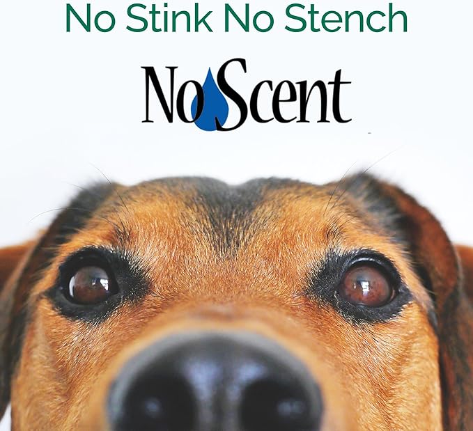 No Scent Crate Kennel & Floor Cleaner for Dog Run, Cat Carrier, Hard Surface Pet Odor & Stain Management (2 Fl Oz / 59 mL)