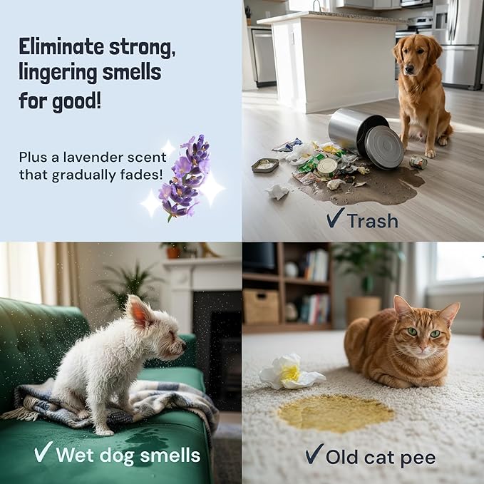 Sunny & Honey Pet Stain and Odor Remover - Enzyme Cleaner for Dog Urine and Poop on Carpets and Furniture - Strong Pet Carpet Cleaner Spray (32fl oz Lavender)