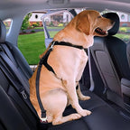 Dog Seat Belt for Car - Adjustable Dog Car Safety Harness, Elastic Cushioning Seatbelt Leash, Reinforced Metal Buckle Anti-Tangle Design, for Small and Medium Pets (Pink)