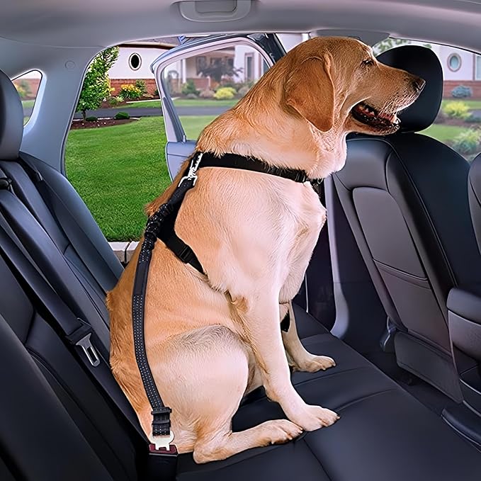 Dog Seat Belt for Car - Adjustable Dog Car Safety Harness, Elastic Cushioning Seatbelt Leash, Reinforced Metal Buckle Anti-Tangle Design, for Small and Medium Pets (Black)