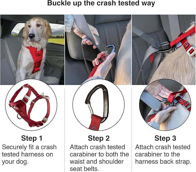 Kurgo Enhanced Strength Tru-Fit Dog Car Harness - Pet Travel Safety Harness - Crash Test Certified Fit - Five Point Adjustment - Secure Buckle - Padded Chest - Black - Medium