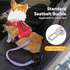 2-in-1 Dog Car Seatbelt Leash & Walking Lead - Heavy Duty 70CM Nylon Rope Leash with Secure Vehicle Buckle for Small Medium Large Dogs, for Travel, Walking, Training