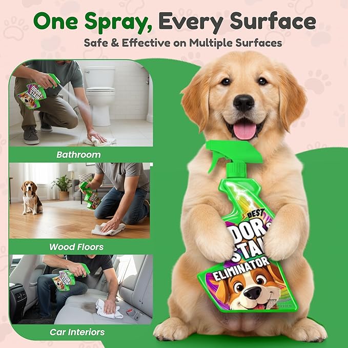Pet, Enzyme Spray for Urine, Dog Smell, Carpet Mess. Remove Dog & Cat Pee, Poop, Stain, Spot, Smell, Odor Enzymatic at a Molecular Level for Your Home
