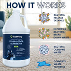 Eco Strong Cat Stain And Odor Remover| Enzyme Urine Odor Neutralizer - Stain Remover for Carpet, Litter Boxes, Bedding, and Laundry [Citrus Scent Gallon Value Size]