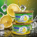 ABRO Car Air Fresheners: Canned, Spill Proof Airfreshener for Home, Office, or Car Accessories Interior, Lasts Up to 60 Days - 3 Pack Citrus Scent