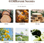 Wood Car Air Freshener – Long Lasting Natural Essential Oil Car Fragrance, Luxury Odor Control, Sun Visor Clip Diffuser, Premium Natural Wood Car Fragrance - Open Air Scent