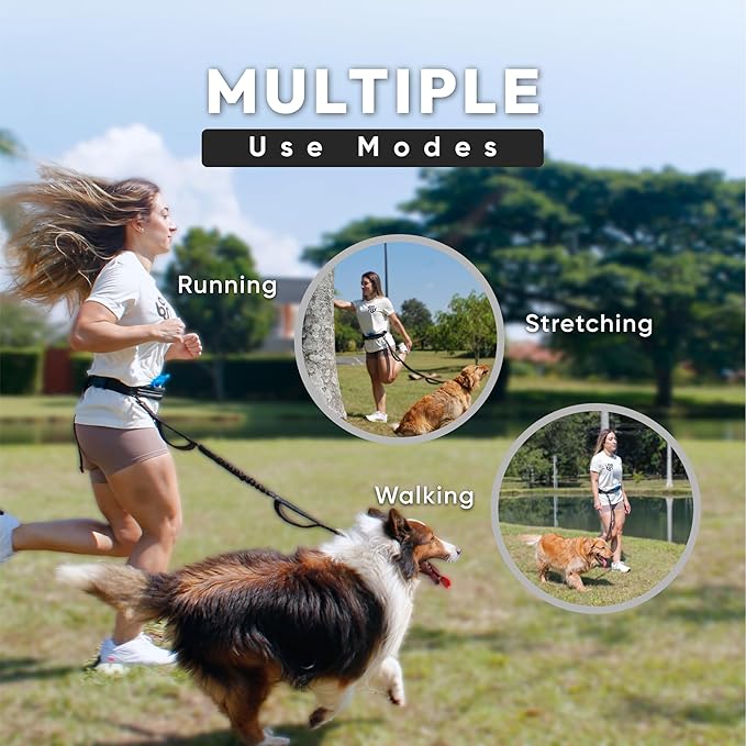 Bond Dog Running Leash Hands Free with Pouch, Hands Free Leash for Large Dogs, Pet Lead Running Belt for Walking & Canicross Belt, Includes Waist Jogging Fanny Pack & Pet Car Seat Belt Safety