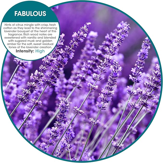 Fresh Products Eco Air Refill Air Freshener Dry Fragrance Technology Natural Oils No Acetone or Propellants Lasts 30 Days Eco Friendly Powerful Fragrance Made in the USA 6 pk Fabulous