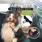 Bond - Blue Dog Running Leash Hands Free with Pouch, Hands Free Leash for Large Dogs, Pet Lead Running Belt for Walking & Canicross Belt, Includes Waist Jogging Fanny Pack & Pet Car Seat Belt Safety