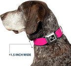 Buckle-Down Dog Collar Seatbelt Buckle Hot Pink 13 to 18 Inches 1.5 Inch Wide, Multicolor, DC-W30838-WS
