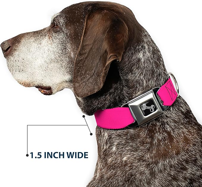 Buckle-Down Dog Collar Seatbelt Buckle Hot Pink 18 to 32 Inches 1.5 Inch Wide, Multicolor, DC-W30838-WL