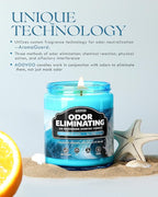 AOOVOO Fantasy Ocean Odor Eliminating Highly Fragranced Candle - Eliminates 95% of Pet, Smoke, Food, and Other Smells Quickly, Non Toxic Air Freshing Soy Candle, 9 oz Up to 50 Hours Burn time