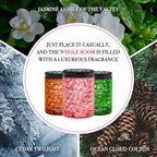 Fragrance Gel Beads Superior Aroma Air Freshener, Eliminates Odors in Cars, Offices, Pet Areas, Cabinets, Plant Based, 200g, Pack of 1, Cedar Twilight Scent