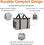 Amazon Basics Soft Insulated Cooler
