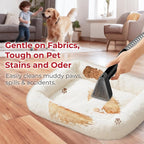 Rosewill Multi-Purpose Portable Carpet and Upholstery Cleaner, Powerful Suction 18 KPa Spot Cleaner, 600W Motor, Car and Auto Detailer, Stain/Spot Remover; Versatile Use: Carpet, Sofa, Pet Hair