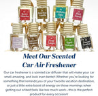 C&E Craft Co Hanging Car Air Freshener Diffuser 2 Pack, Long Lasting Fragrance Oil Car Freshener, Glass Bottle Auto Air Freshener, Made in USA (Teakwood + Mahogany)