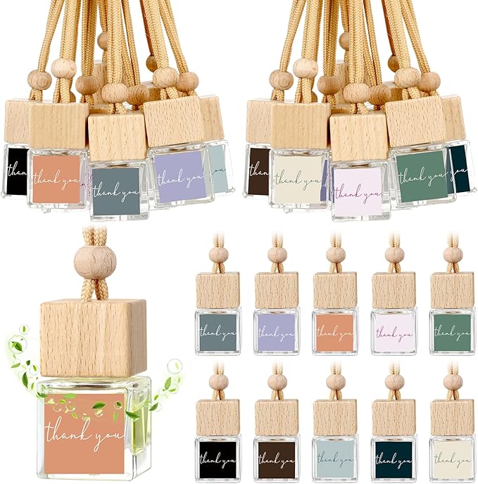 30 Pcs Appreciation Gift Bulk Car Air Freshener Diffuser Hanging Car Empty Glass Oil Diffuser Thank You Gifts for Employee Dietitian Coworker Social Worker Nurse (Thank You)
