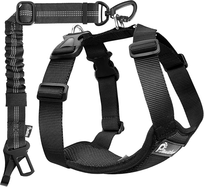 Pawaboo Dog Seat Belt Harness for Car, Dog Car Harness Seatbelt with Double Clips, Adjustable Breathable Pet Vest & Dogs Safety Tether with Elastic Bungee for Small Medium Large Pet, M, Black