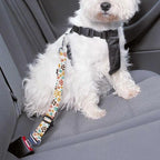Cute Design 2-Pack Set Adjustable Pet Cat Dog Car Seat Belt, Adjustable Buckle Pet Car Harness Fabric Lanyard from 22 to 38 Inches Seatbelt Leash (Orange Passion Dog -Two Piece in one Set)