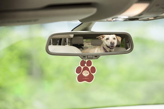 One Fur All Pet House & Car Freshener - Evergreen Forest Pack of 4 - Non-Toxic Pet-Friendly Hanging Odor Eliminator For Small Spaces