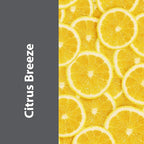 Pro-Grade All-Purpose Cleaner & Deodorizer - Deep Cleaning & Odor Eliminating Formula For Professional & Home Surfaces - 32 Ounce Ready-To-Use - Citrus Breeze, 2 Pack