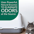 Simple Green Cat Stain & Odor Remover - Enzyme Cleaner for Cat Urine, Feces, Blood, Vomit (1 Gallon Refill) (Pack of 2)