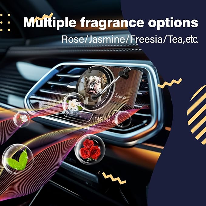 Sonloka Personalized Car Air Freshener, Car Vent Decoration, Unlimited Creativity, Double Sided Printing Customized Car Diffuser with Picture. (L, 12 Pcs CD)