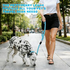 6FT Heavy Duty Dog Leash for Small Medium Large Dogs, Tangle Free Reflective Dog Training Leash with Double Handle, Seat Belt Buckle & Poop Bag Holder (Blue)