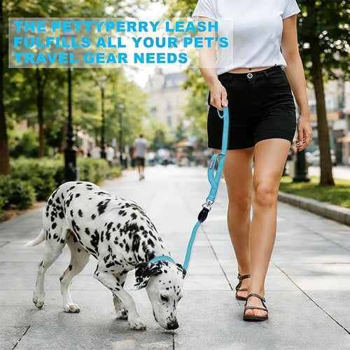 6FT Heavy Duty Dog Leash for Small Medium Large Dogs, Tangle Free Reflective Dog Training Leash with Double Handle, Seat Belt Buckle & Poop Bag Holder (Blue)