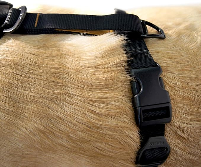 Kurgo Tru-Fit Smart Dog Walking Harness - Comfortable Fit - Adjustable Harness - Reflective Pet Wear - Quick Strap Release - Daily Walk Accessory - Includes Seat Belt Loop - Black - Medium
