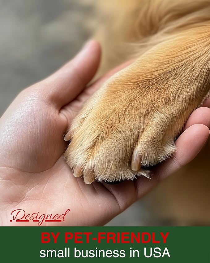 Santa with Golden Retriever Air Freshener – Evergreen Scent - Cute Dog Car Freshener & Holiday Decoration - Pet Friendly, Non-Toxic, Long-Lasting Scent - Great Gift for Pet Lovers - Designed in USA