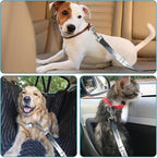 Adjustable pet cat and Dog car seat Belt，The Lanyard is Flexible and Adjustable from 20 to 33 inches (deforestation)